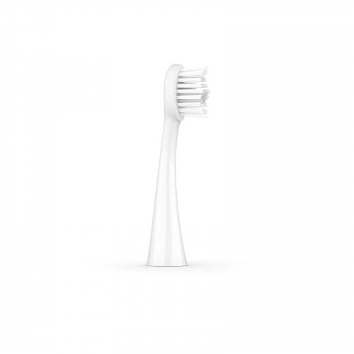 ORDO Sonic Brush Head Keičiamos dantų šepetėlio galvutės 4vnt