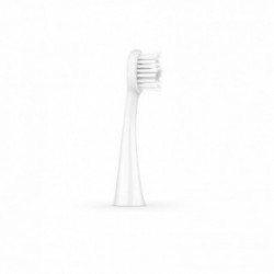 ORDO Sonic Brush Head Keičiamos dantų šepetėlio galvutės 4vnt