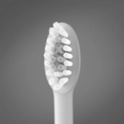 ORDO Sonic Brush Head Keičiamos dantų šepetėlio galvutės 4vnt