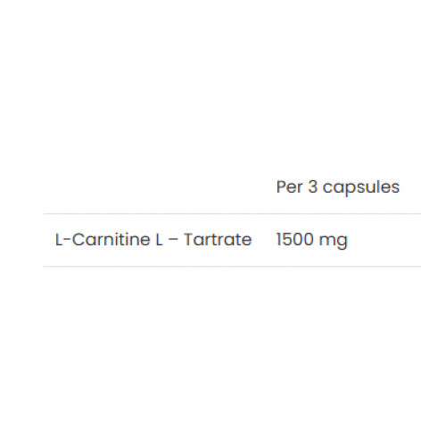 VPLab Nutrition L-Carnitine Maisto papildas L-karnitinas 90 kapsulių
