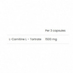 VPLab Nutrition L-Carnitine Maisto papildas L-karnitinas 90 kapsulių