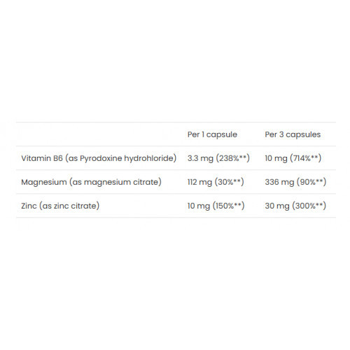 VPLab Nutrition Nutrition ZMA Supplement Maisto papildas 90 kapsulių