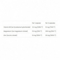 VPLab Nutrition Nutrition ZMA Supplement Maisto papildas 90 kapsulių