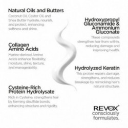 Revox B77 Plex Hair Rebuilding System Set for Salon & Home Intensyvi plaukų priežiūros sistema Rinkinys