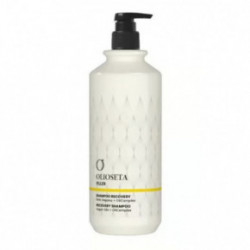 Olioseta Filler Recovery Shampoo Plaukus atkuriantis šampūnas 250ml