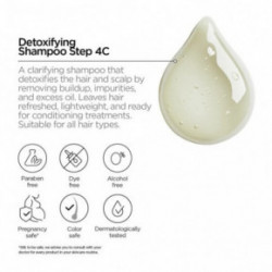 Revox B77 Purifying Shampoo. Step 4C Valantis šampūnas 260ml