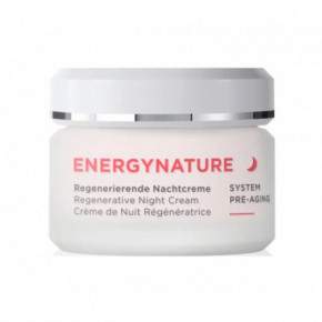 Annemarie Borlind Energynature Night Cream Regeneruojantis naktinis veido kremas 50ml