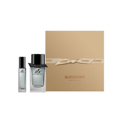 Burberry Mr. Burberry Tualetinis vanduo vyrams 100 ml, Originali pakuote