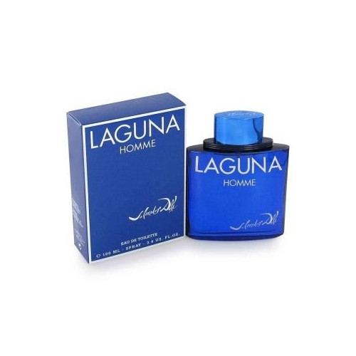 Salvador Dali Laguna Homme Tualetinis vanduo vyrams 100 ml, Testeris