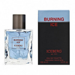 Iceberg Burning Ice Tualetinis vanduo vyrams 100 ml, Testeris