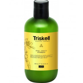 Triskell Botanical Treatment Deep Repair Shampoo Giliai atkuriantis šampūnas 300ml