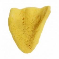 Hydrea London Elephant Ear Natural Sponge Natūrali kempinėlė veidui 1vnt.