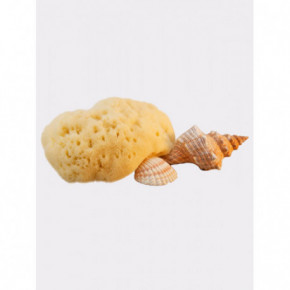 Hydrea London Fina Silk Sea Sponge For Cosmetic or Baby Use Zīda jūras sūklis 5 cm