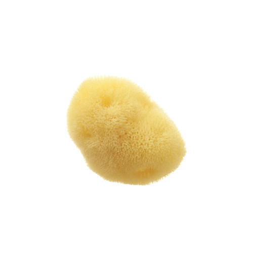 Hydrea London Fina Silk Sea Sponge Natūrali kempinėlė kūdikiams 5 cm