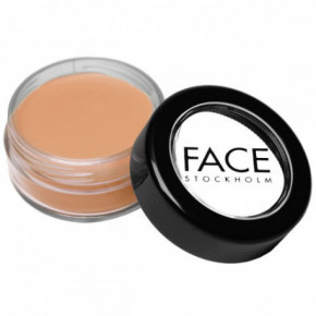 FACE Stockholm Picture Perfect Foundation Meigi aluskreem 43g