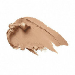 FACE Stockholm Blemish & Capillary Concealer Maskuojanti priemonė 2.7g
