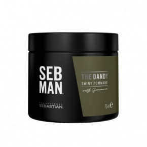 Sebastian Professional SEB MAN The Dandy Pomade 75ml