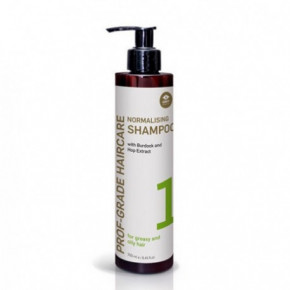 GMT BEAUTY Prof-Grade Haircare Normalising Shampoo Šampūnas riebiems plaukams 250ml