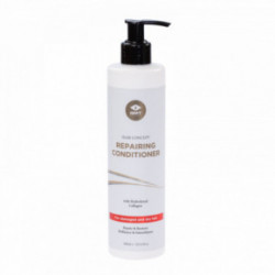 GMT BEAUTY Repairing Conditioner Regeneruojantis kondicionavimas 300ml