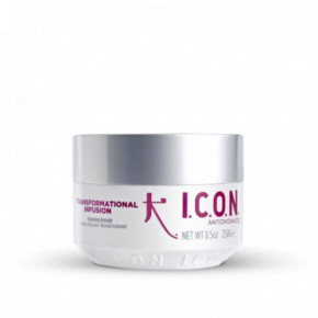 I.C.O.N. Transformational Infusion Hydrating Remedy Hair Mask 250ml