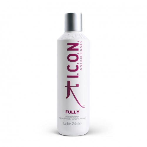 I.C.O.N. Fully Antioxidant Shampoo Antioksidacinis šampūnas 250ml