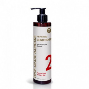 GMT BEAUTY Prof-Grade Haircare Repairing Conditioner Atjaunojošs kondicionieris 250ml