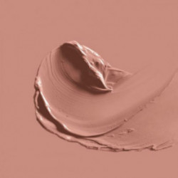 Bad Girls Go To Heaven 3D Creamy Lipstick Kreminiai lūpų dažai 201 MrBrown