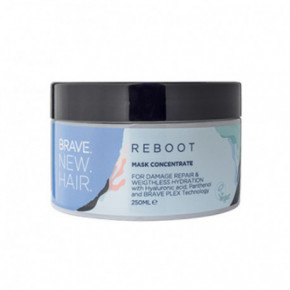 Brave New Hair Reboot Mask Concentrate Atjaunojoša, mitrinoša maska 250ml