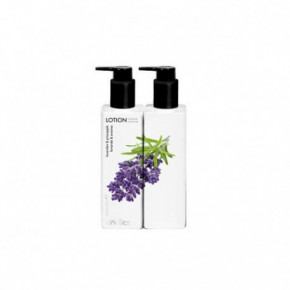 Kinetics Hand & Body Lotion Lavender & Pineapple Parfumuotas losjonas rankoms ir kūnui su levandomis ir ananasu 250ml