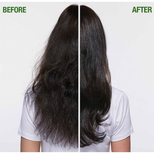 Biolage FiberStrong Shampoo Šampūnas silpniems plaukams 250ml