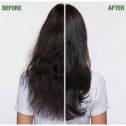 Biolage FiberStrong Shampoo Šampūnas silpniems plaukams 250ml