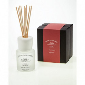 Lumen Opificio Cerario 19.61 Home Scent Kodulõhn 100ml