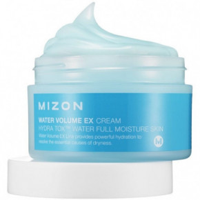 Mizon Water Volume Ex Cream Drėkinamasis Veido kremas 100ml