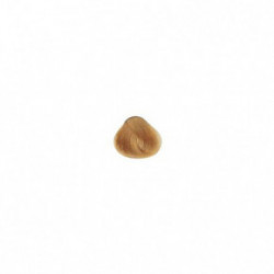 AlfaParf Milano Evolution Of The Color Plaukų dažai 60ml