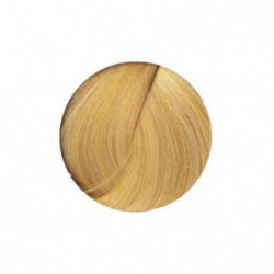 AlfaParf Milano rEvolution JC Plaukų dažai 90ml