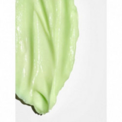 Briogeo Be Gentle Be Kind Avocado + Kiwi Mega Moisture Superfood Hair Mask Plaukų kaukė 240ml