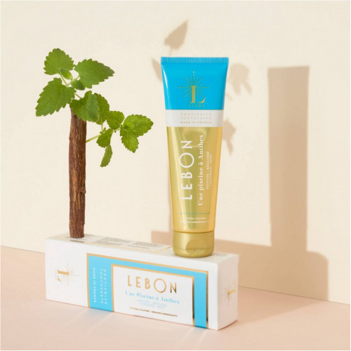 Lebon Une Piscine a Antibes Toothpaste Dantų pasta su anyžiu ir mėta 75ml