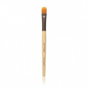 Jane Iredale Camouflage Brush 1pcs