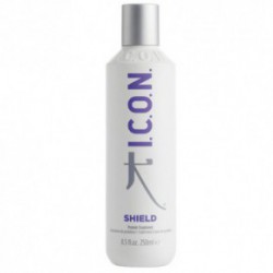 I.C.O.N. Shield Proteininė plaukų kaukė 250ml