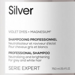 L'Oréal Professionnel Serie Expert Silver Atspalvį koreguojantis šampūnas 300ml