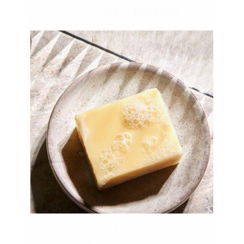 Christophe Robin Hydrating Shampoo Bar Drėkinantis kietasis šampūnas 100g