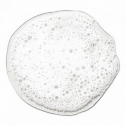 Paul Mitchell Clarifying Shampoo Two Valantis šampūnas riebiems plaukams 300ml