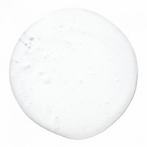 Paul Mitchell Lavender Mint Moisturizing Shampoo 1000ml