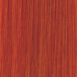 AlfaParf Milano Color Wear The Natural Evolution Of Tone-On-Tone Color Plaukų dažai 60ml