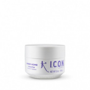I.C.O.N. Inner Home Treatment Niisutav juuksehooldusmask 250ml