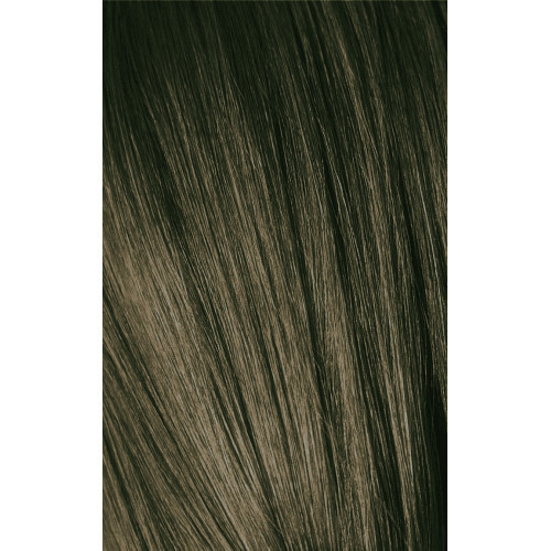 Schwarzkopf Professional Igora Royal Color10 Plaukų dažai 60ml