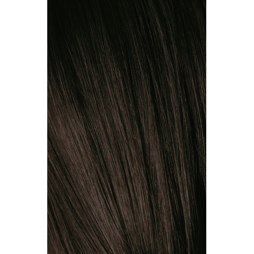 Schwarzkopf Professional Igora Royal Color10 Plaukų dažai 60ml