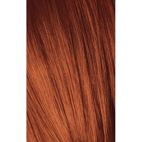 Schwarzkopf Professional Igora Royal Color10 Plaukų dažai 60ml