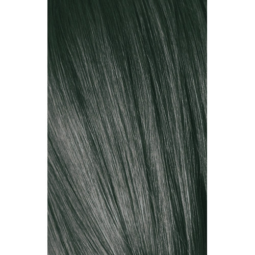 Schwarzkopf Professional Igora Royal Color10 Plaukų dažai 60ml