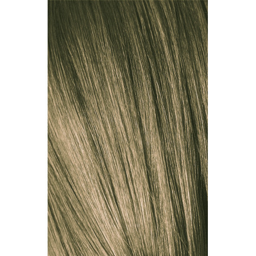 Schwarzkopf Professional Igora Royal Color10 Plaukų dažai 60ml